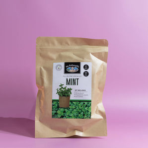 Cocktail Garnish - Mint - All In One Grow Kit