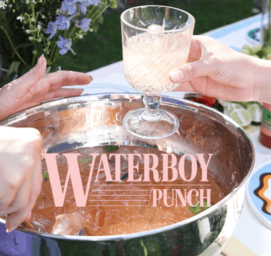 12 Days of Christmas Cocktails: Waterboy Punch🍉 - Mr. Consistent