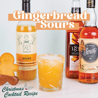 HOLIDAY COCKTAIL RECIPE | GINGERBREAD SOURS - Mr. Consistent